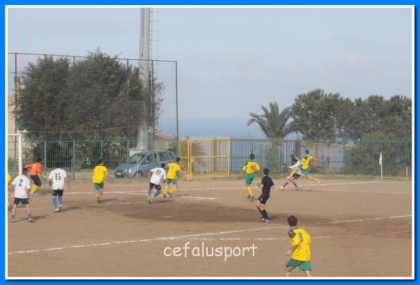 130406 delfini 103_tn.jpg